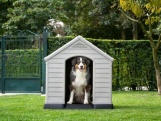 Curver Psí bouda Dog House