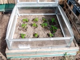 Pařeniště Gutta Gardentec Classic