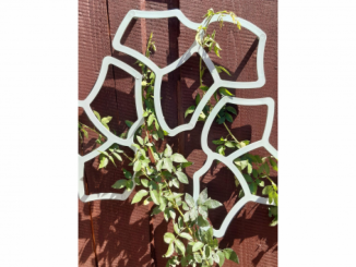 Podpory rostlin – Tessa Flower opora pro rostliny ECOO
