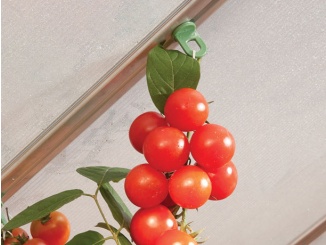 Příslušenství – Sada 10-ti háčků Palram