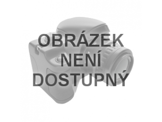 Řetězové – Riwall PRO Vodící lišta pro RAHS 1820i SET
