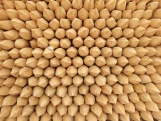 Scobax Vyvazovací kůl Fixtree