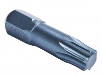 Skleníky – Rawlplug Bit TORX40 25