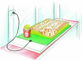 Topidla – Biogreen 42 W