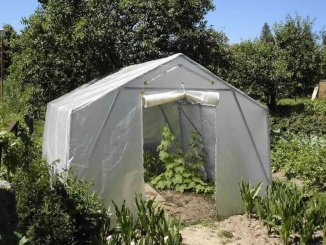Výbava do skleníku – Scobax Growspot Cannabo 3