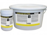 Weber Sys Epox P100