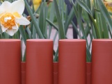 Zahradní palisáda Scobax Florange